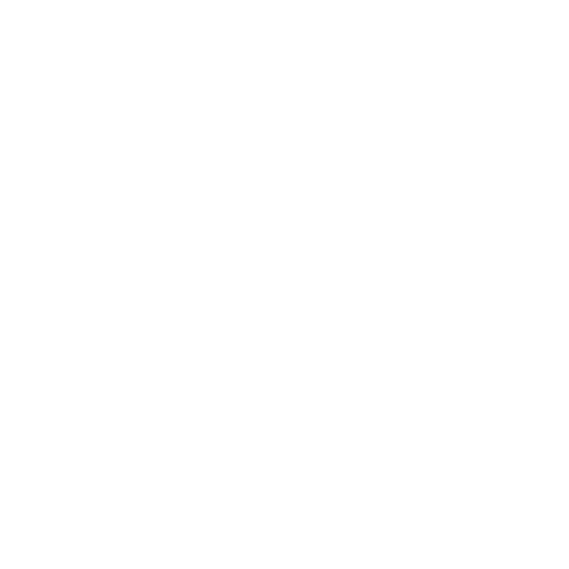 brain